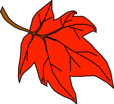 Red Maple Leaf Graphic