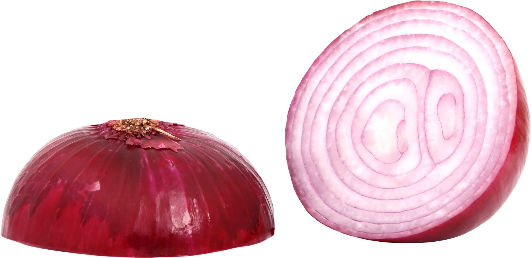 Red Onion Halfand Cross Section