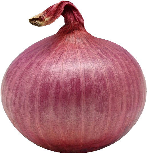 Red Onion Single Isolated