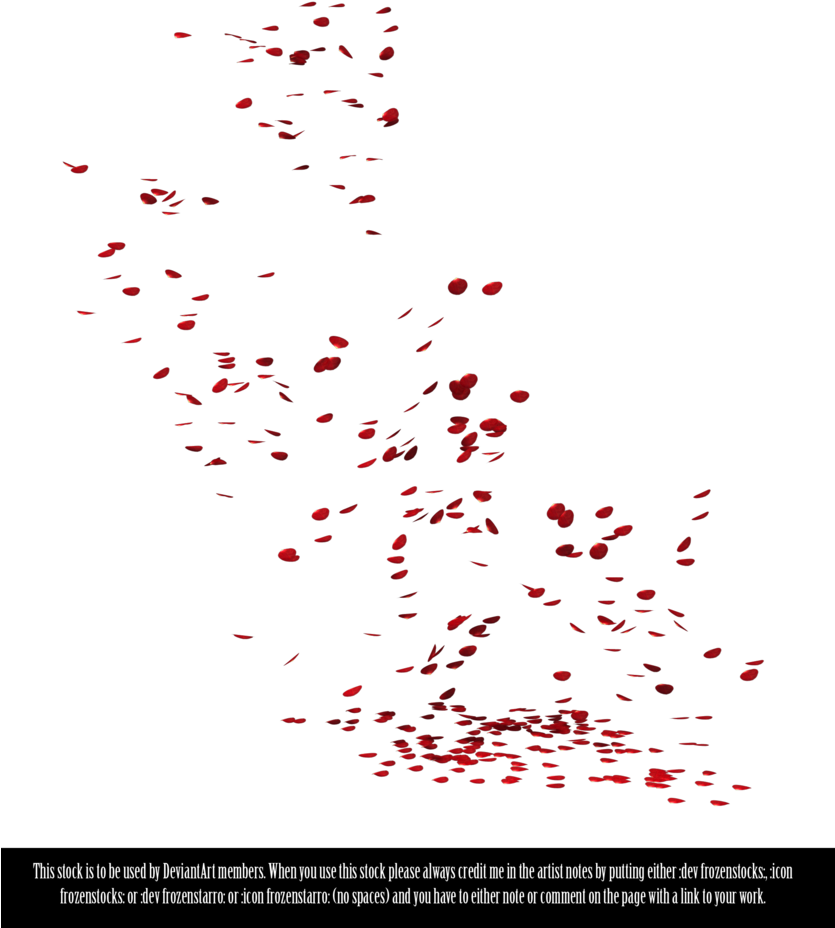 Red Petal Scatter Stock Image