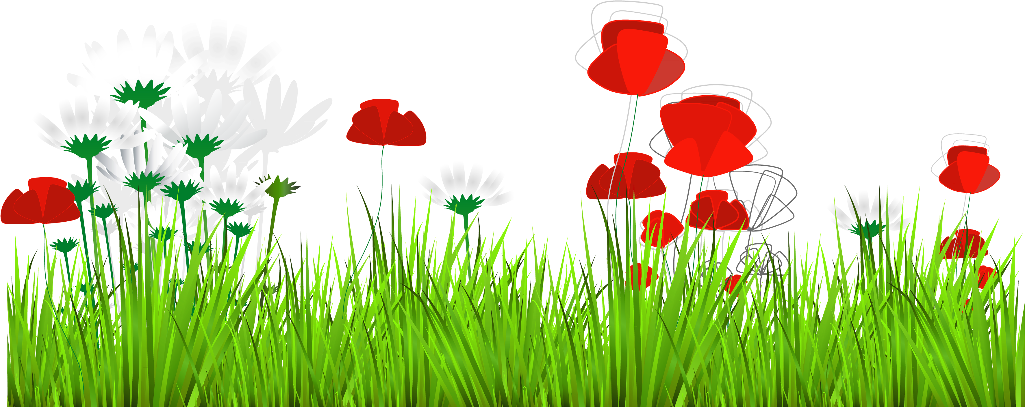 Red Poppiesand White Daisiesin Grass