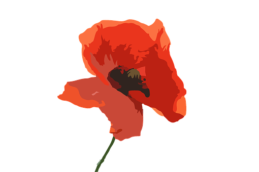 Red Poppy Vector Art