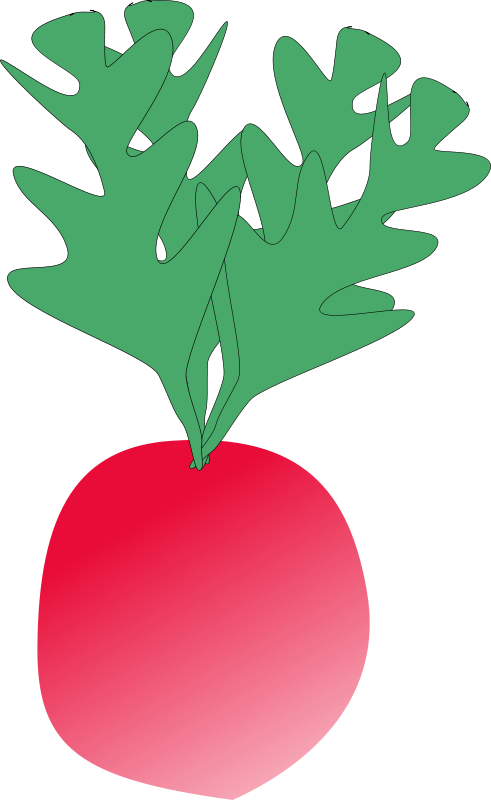 Red Radish Cartoon Illustration