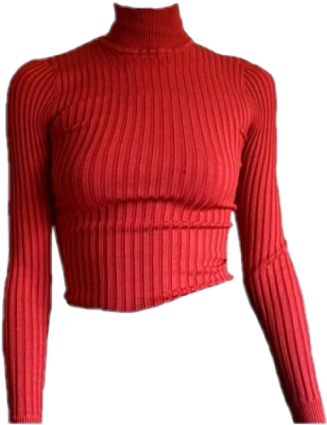 Red Ribbed Turtleneck Cropped Sweater.png