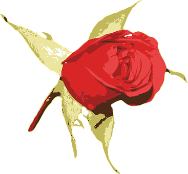 Red Rose Artistic Vector Illustration