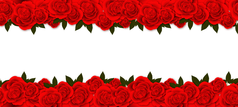 Red Rose Border Black Background