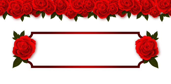 Red Rose Border Design