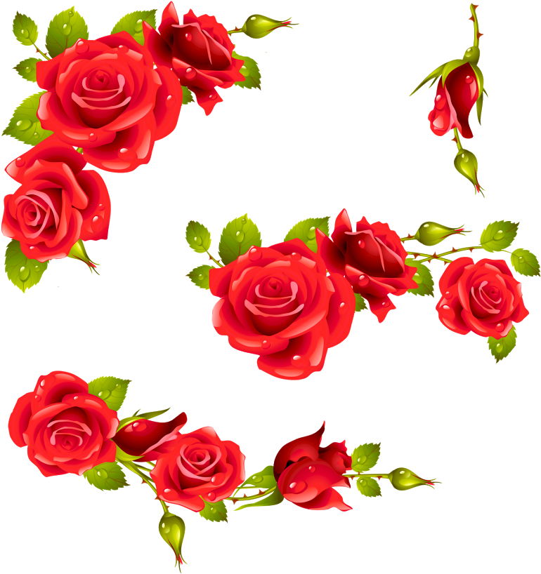 Red Rose Floral Design Element