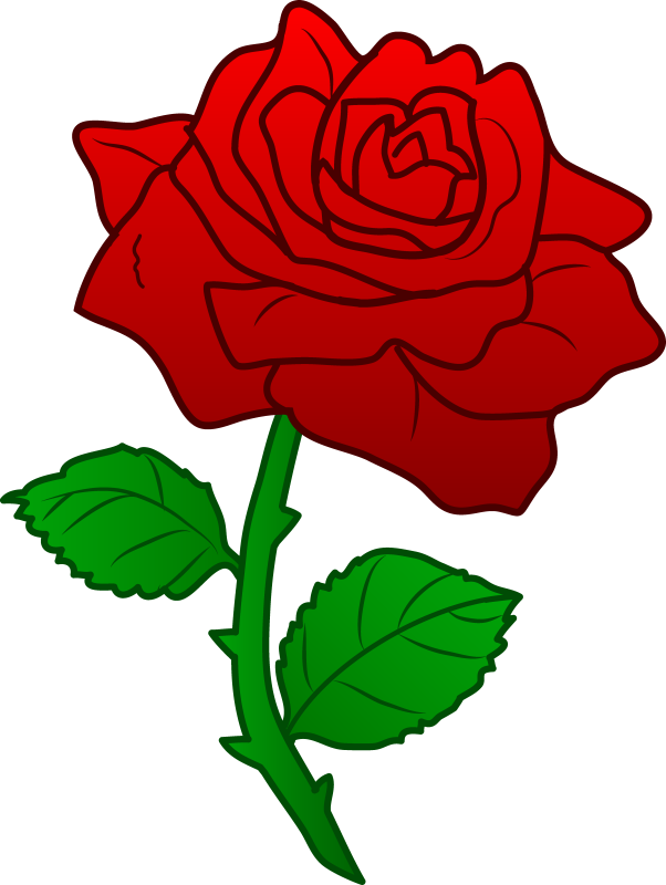 Red Rose Illustration.png