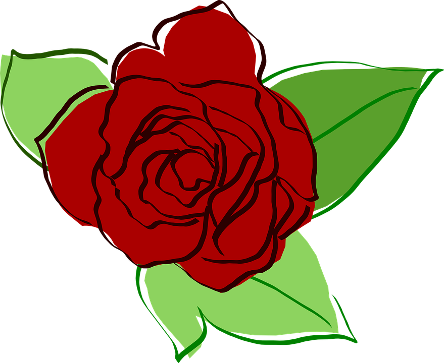 Red Rose Sketch Artwork