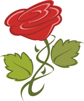 Red Rose Vector Art