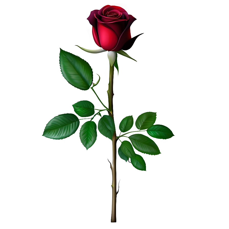 Red Rose With Leaves Png 84