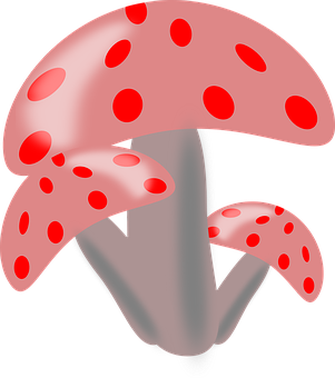 Red Spotted Mushrooms Illustration