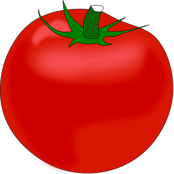 Red Tomato Illustration