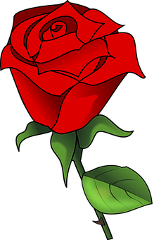 Red Vector Rose Art