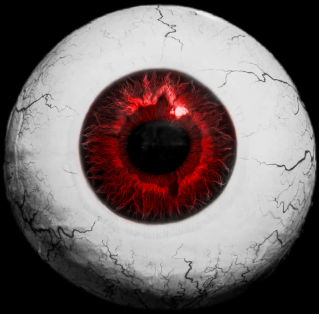 Red Veined Eyeball Closeup