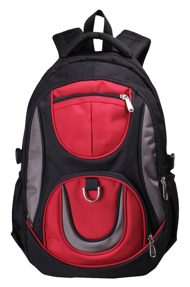 Redand Black School Backpack