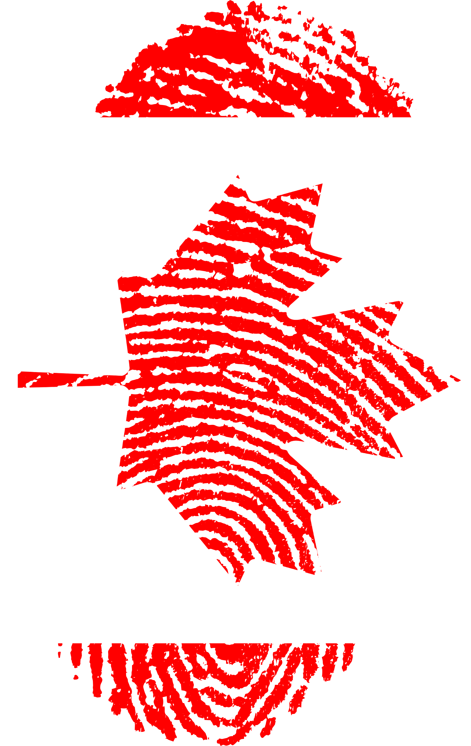 Redand White Fingerprint Map