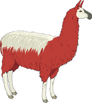 Redand White Llama Illustration