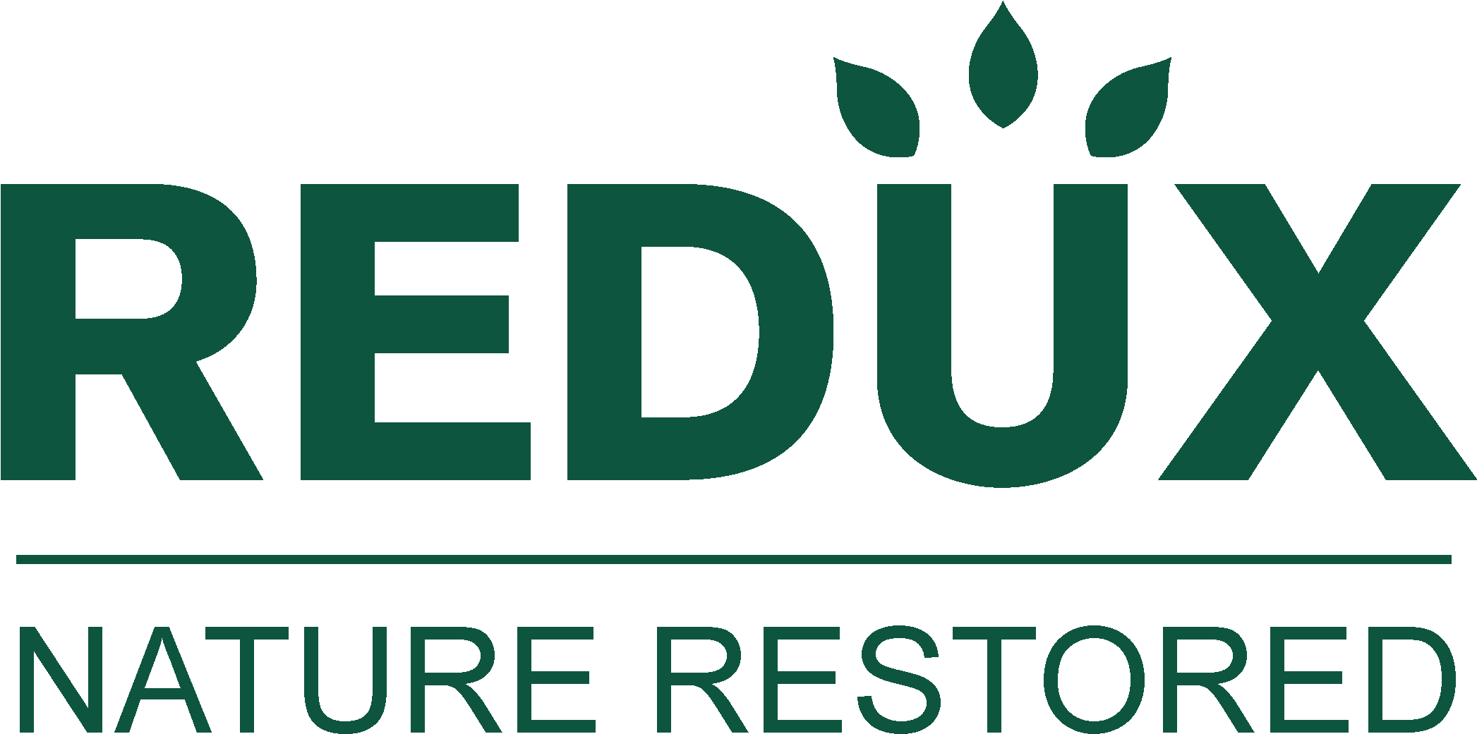 Redux Logo Nature Restored