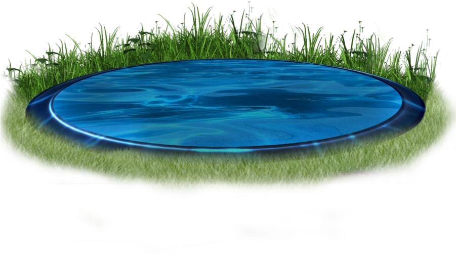 Reflective Discin Grass