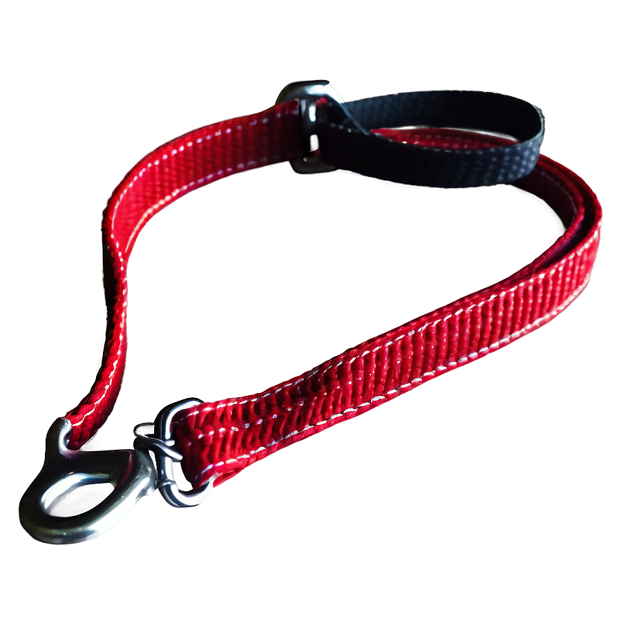 Reflective Thread Dog Leash Png 06132024