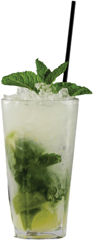 Refreshing Mojito Cocktail