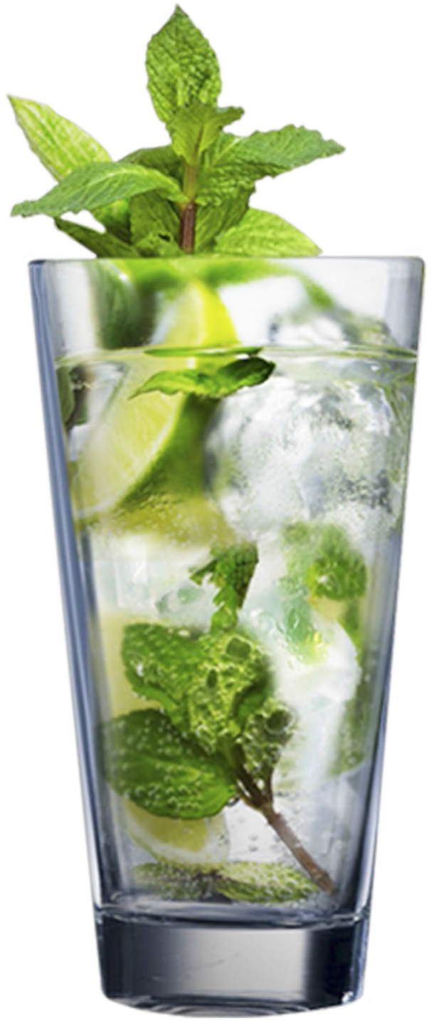 Refreshing Mojito Cocktail Glass