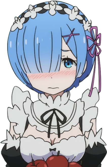 Rem Re Zero Anime Character