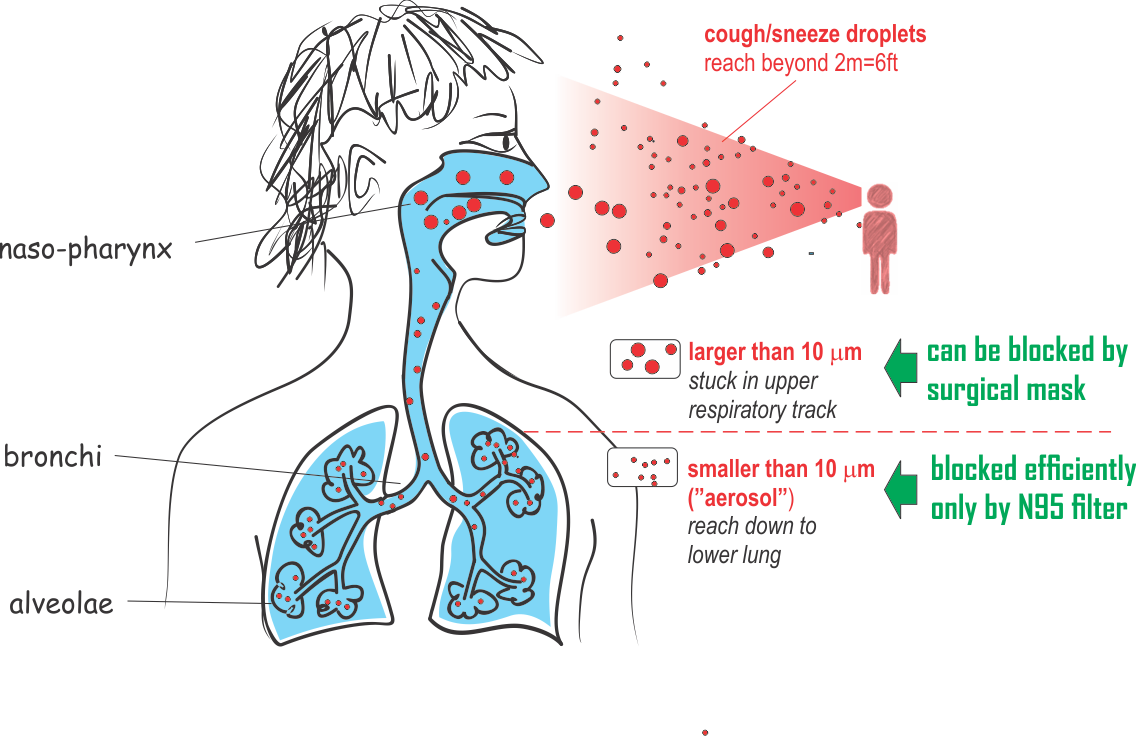 Respiratory_ Droplet_ Transmission_ Illustration