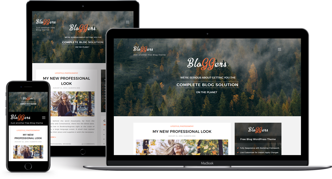 Responsive Blog Theme Display Across Devices