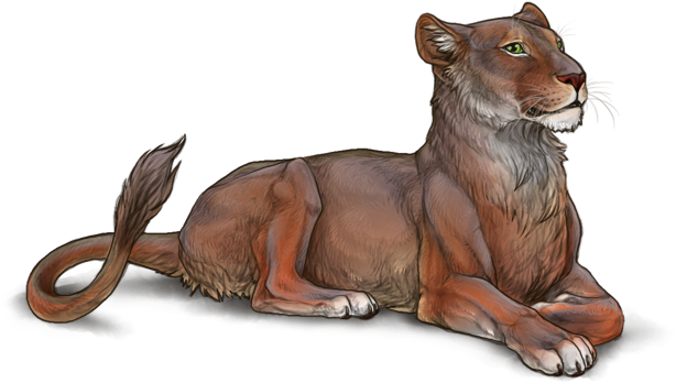 Resting Lioness Illustration