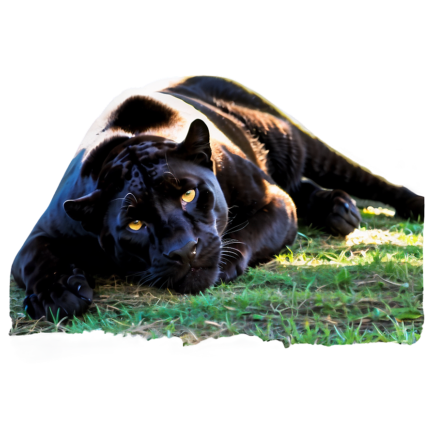 Resting Panther Png Luc50