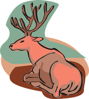 Resting Stag Illustration