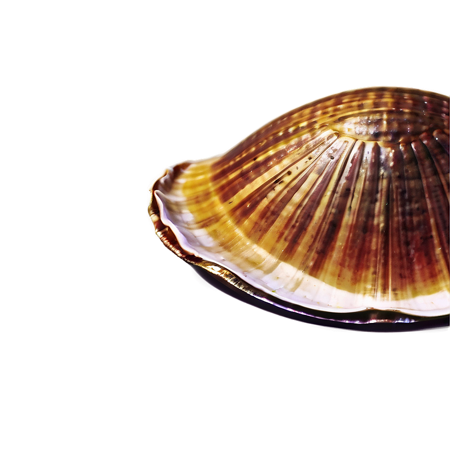 Retro Clam Poster Design Png Vhd