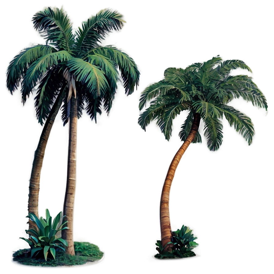 Retro Palm Trees Png 05042024