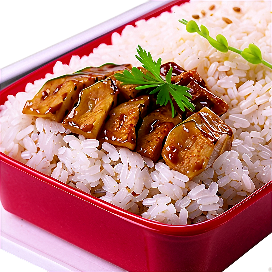 Rice Bento Png 05242024