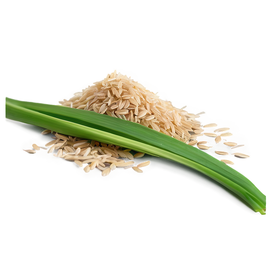 Rice Bran Png 31