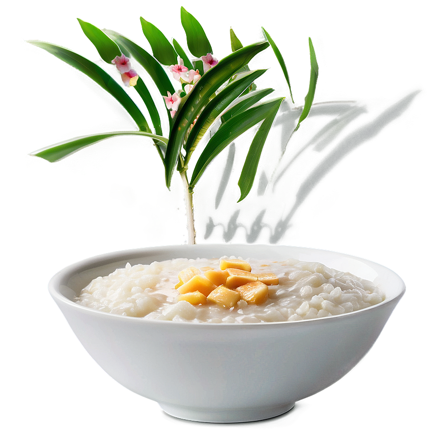 Rice Porridge Png Pua31