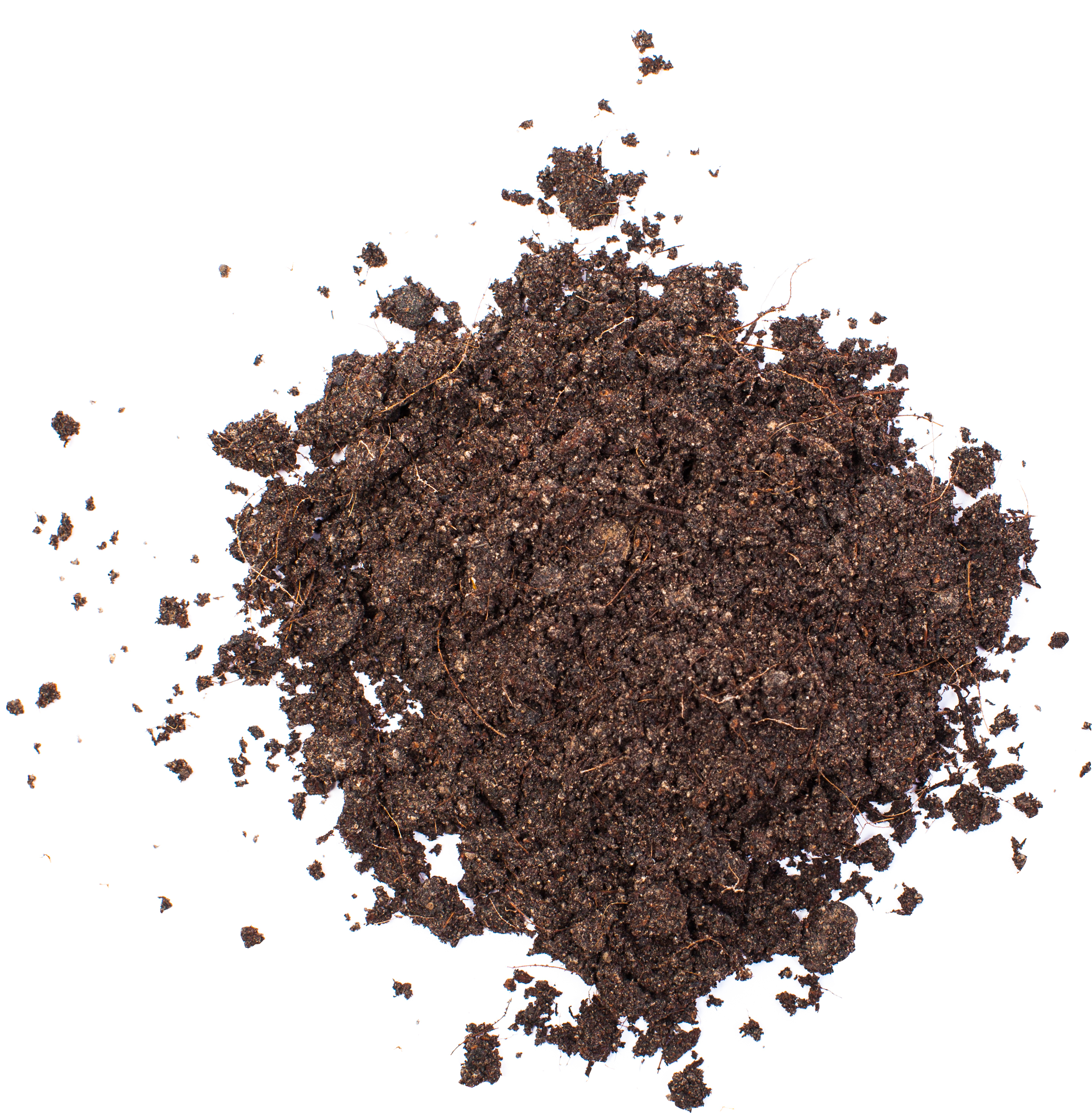 Rich Organic Soil Texture