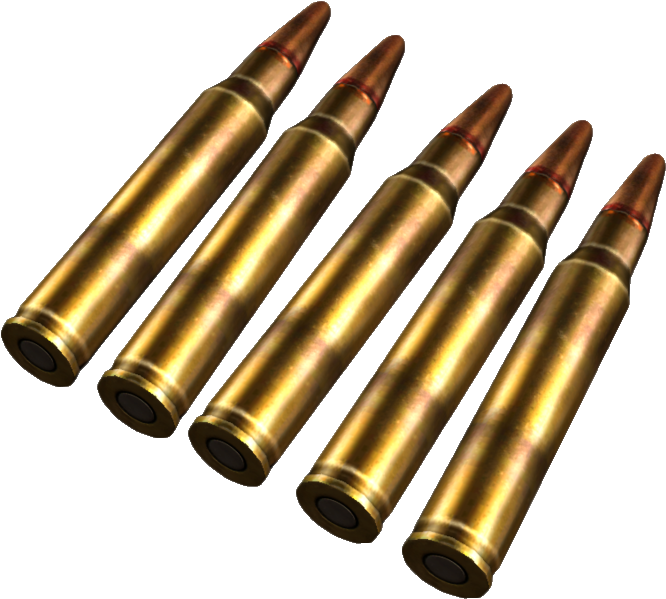 Rifle Ammunition Array