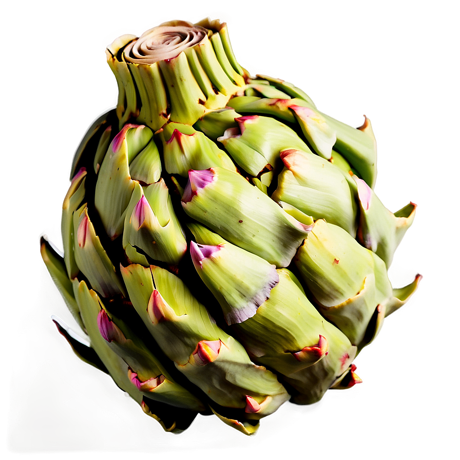 Ripe Artichoke Png 74