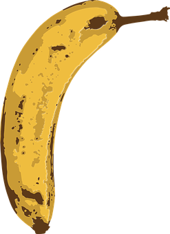 Ripe Banana Illustration