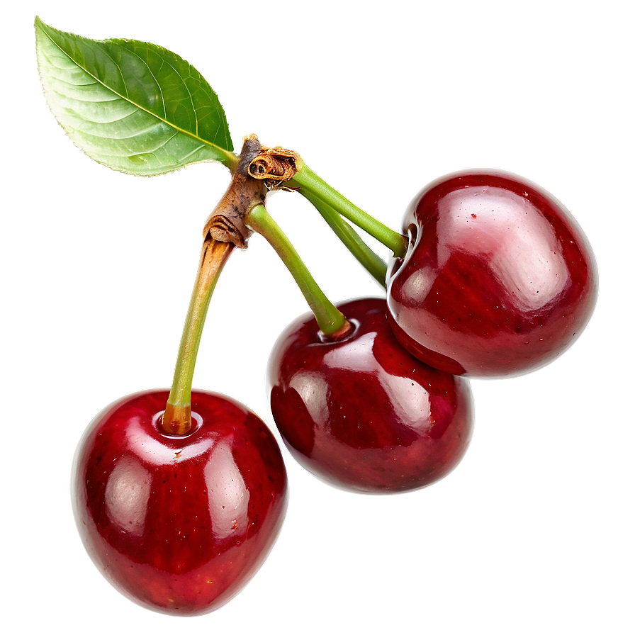 Ripe Cherry Fruit Png 05212024