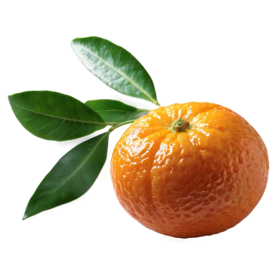 Ripe Mandarin Orange Png 06242024