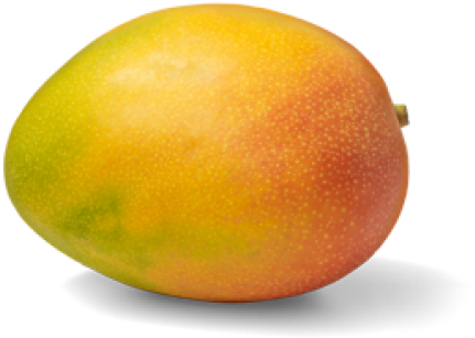 Ripe Mango Fruit Isolated