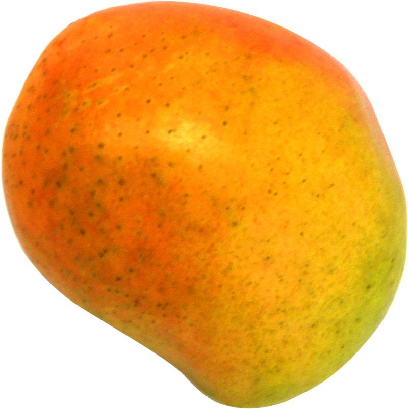 Ripe Mango Fruit Isolated