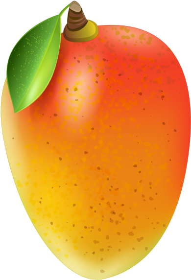 Ripe Mango Illustration