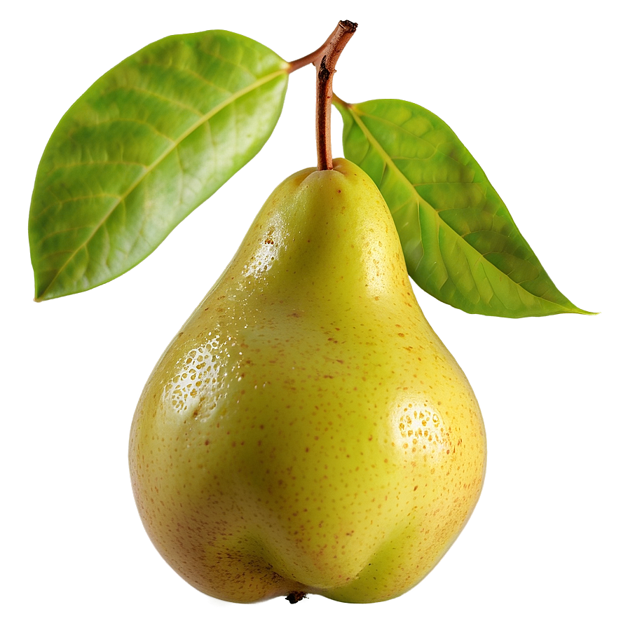 Ripe Pear Fruit Png 06122024