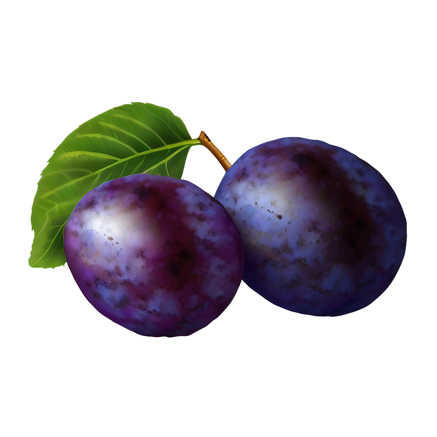 Ripe Plum Illustration Png Ruf